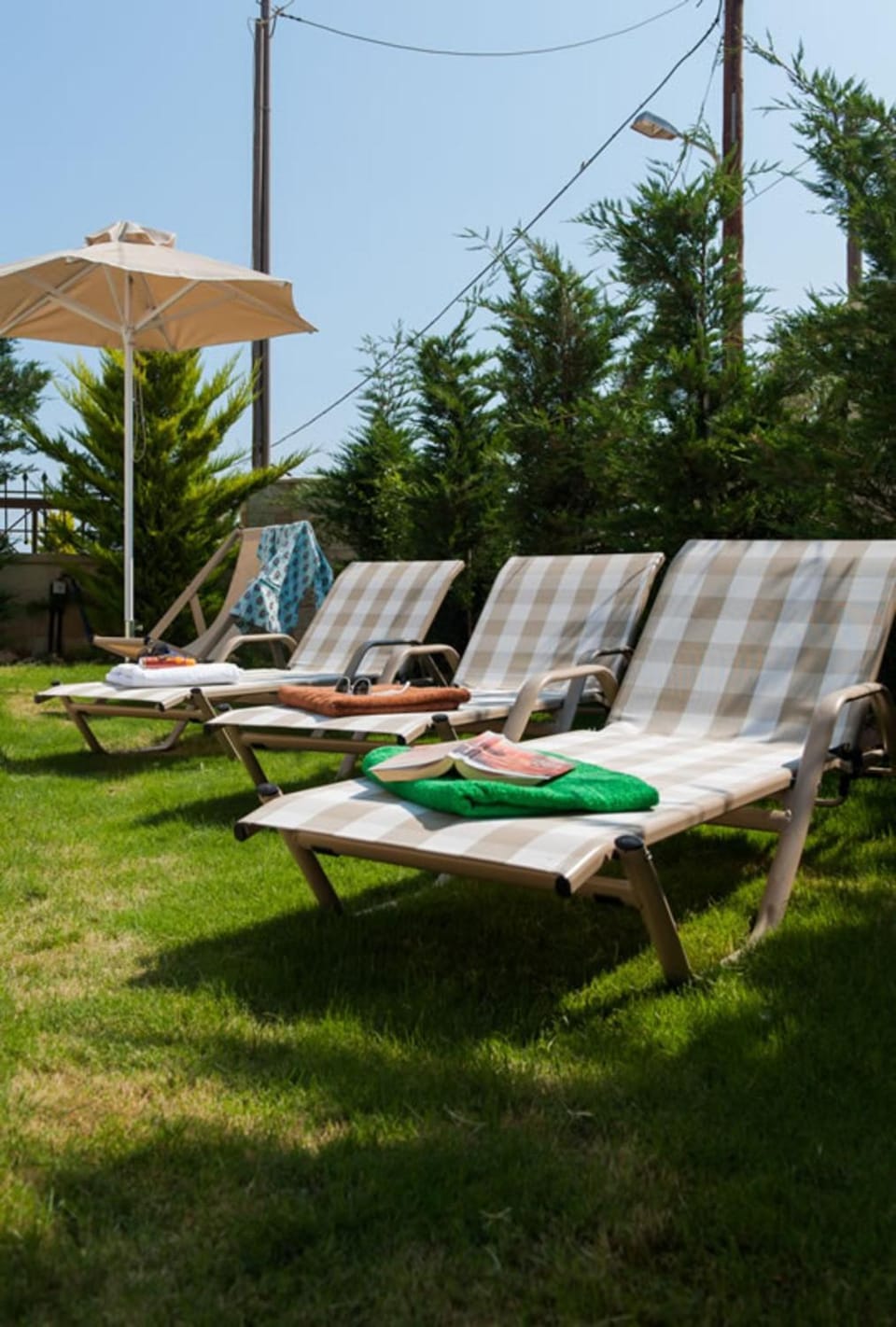 Patio, Garden