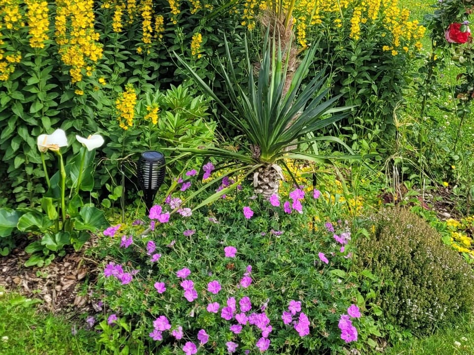 Le Soleil Couchant/Chambre d'hôtes Bed and Breakfast in Wallonia, Belgium
