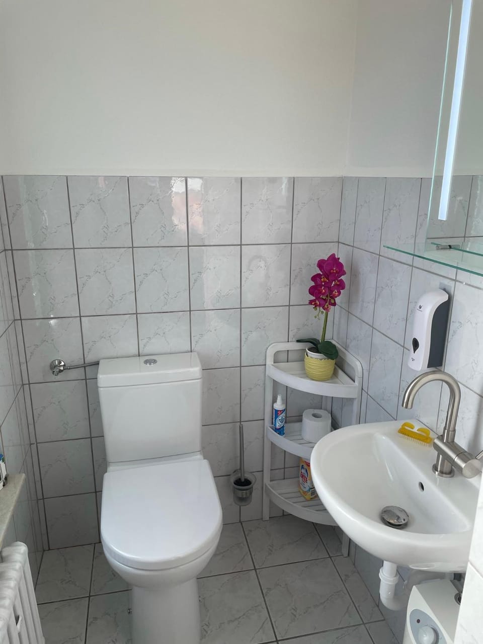 Toilet
