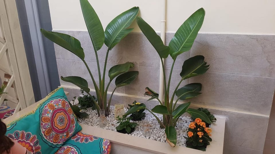 Garden, Internal: Not applicable to any particular room