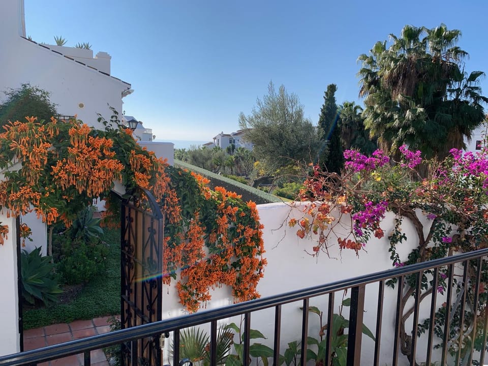 Garden, Balcony/Terrace, Garden view