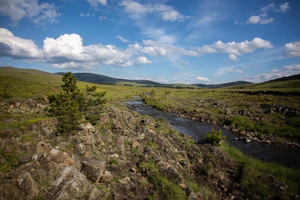 Mesto za odmor House in Zlatibor