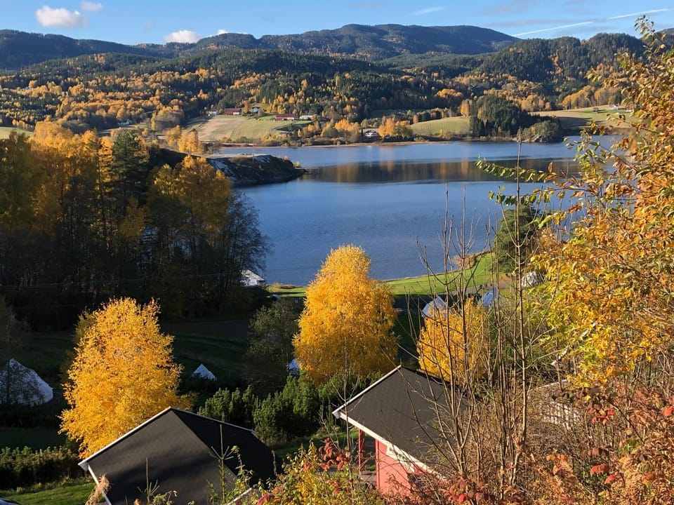 Lake view