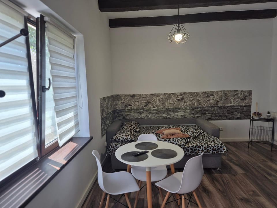 New Residence Apartment in Brasov
