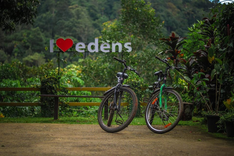 Cycling
