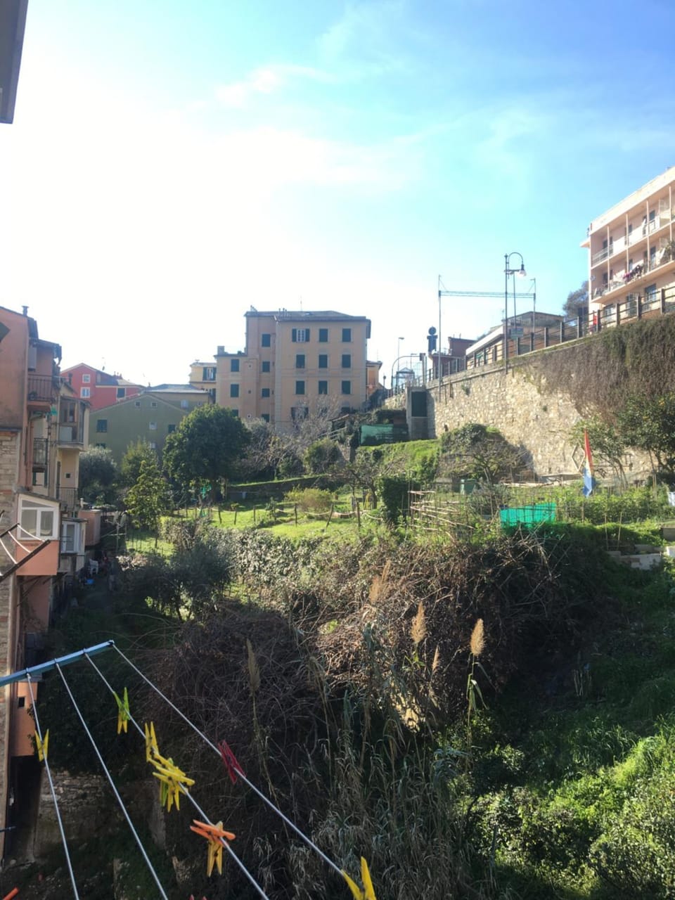 View (from property/room), Street view