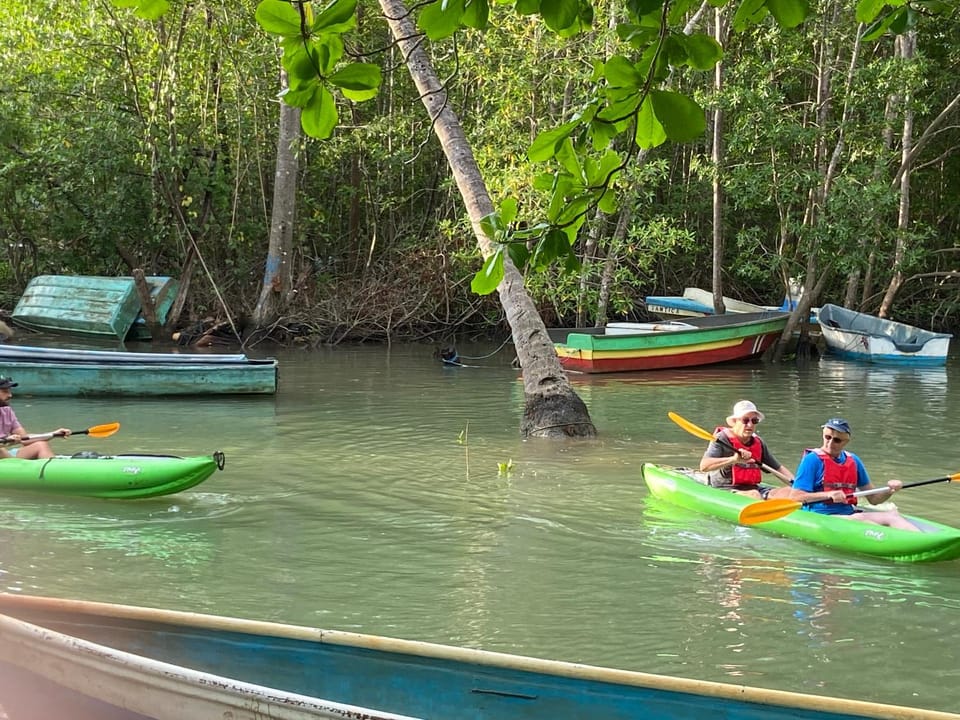 El Pulpo Safari Lodge Nature lodge in Bahía Ballena