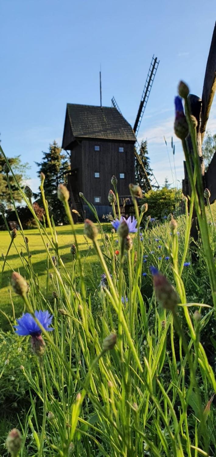 WIATRAK House in Greater Poland Voivodeship