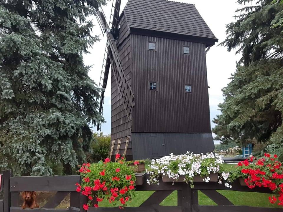WIATRAK House in Greater Poland Voivodeship