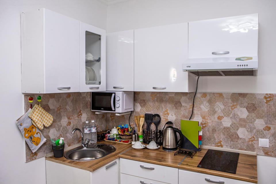 Уютная студия с видом на горы Apartment in Almaty