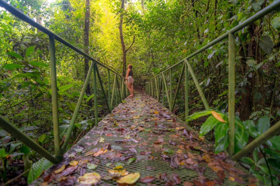 Garden, Garden, Hiking