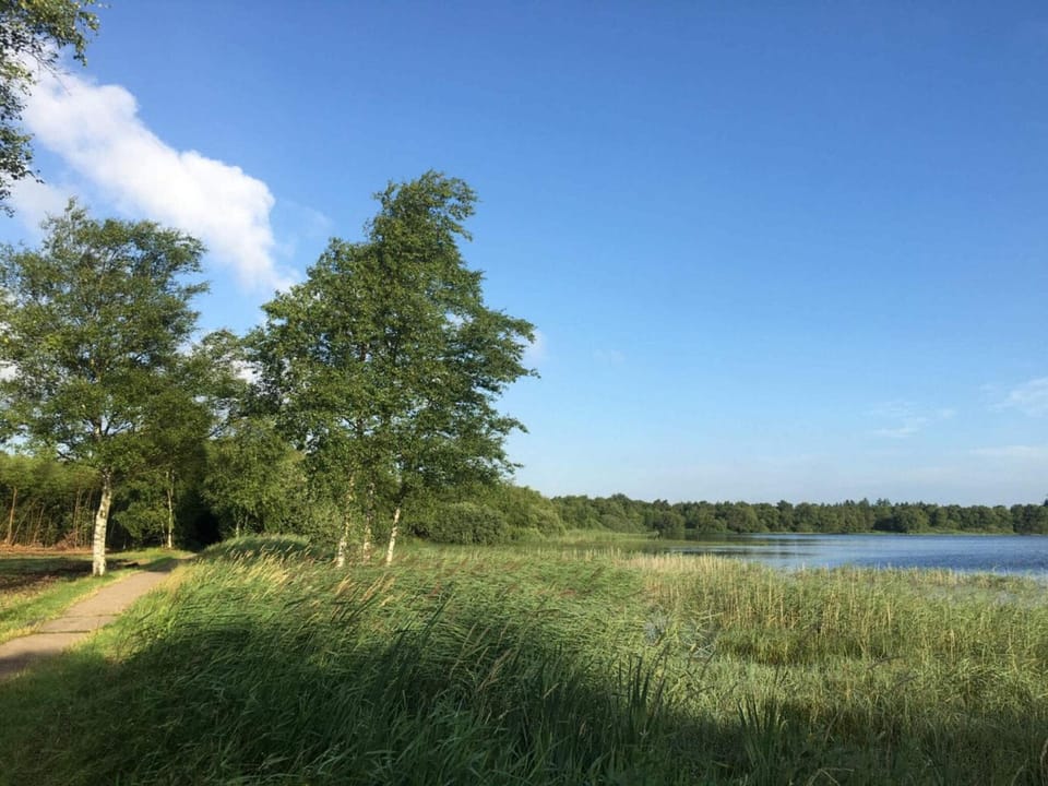 Lake view