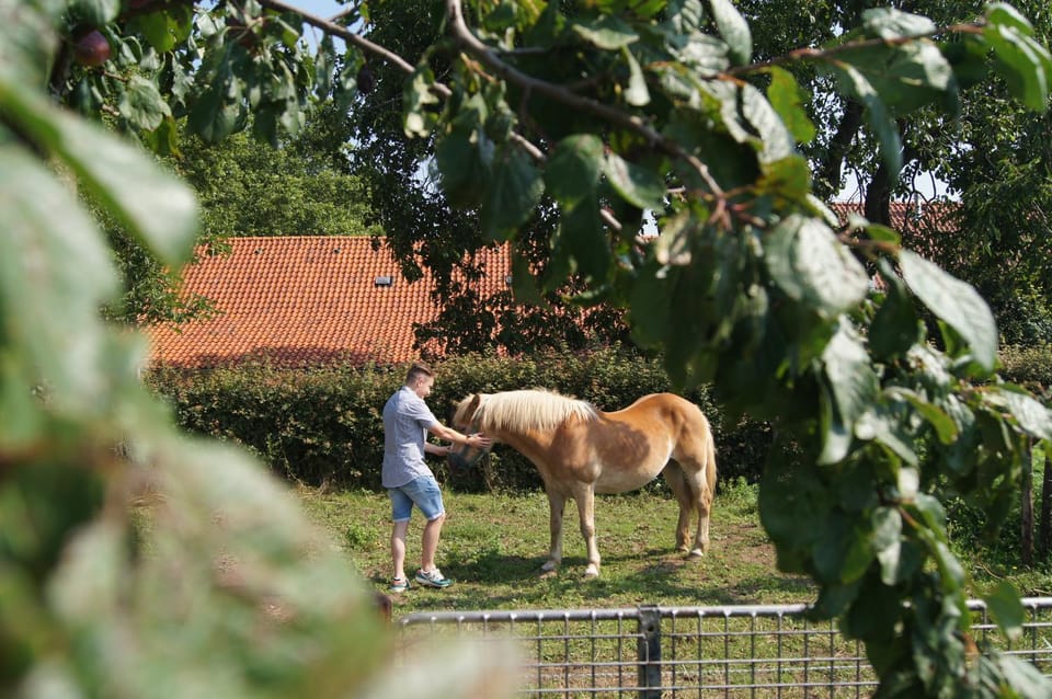 Hoeve Linnerveld Luxury tent in Limburg (province)