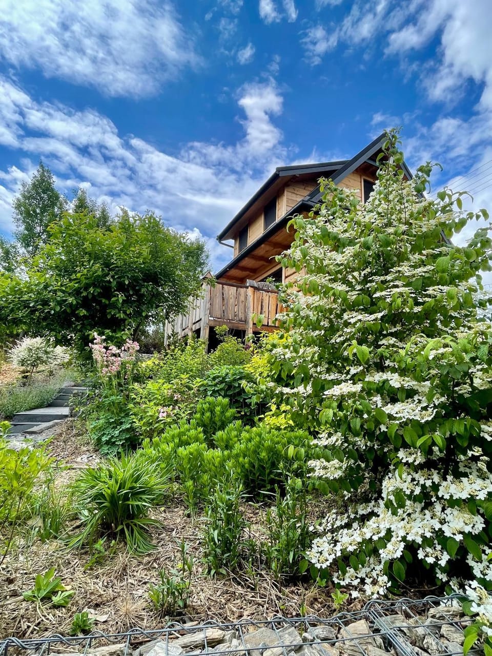 Garden view