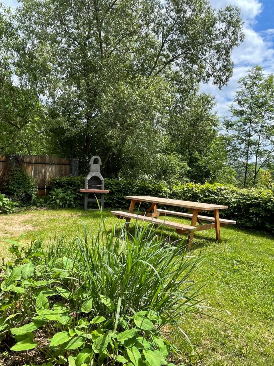 Garden view