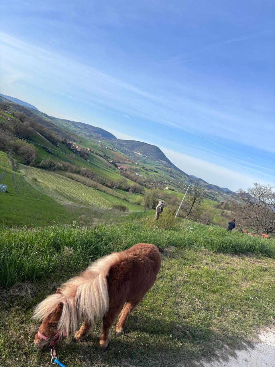 Agriturismo B&B La Cerasa Bed and Breakfast in Umbria