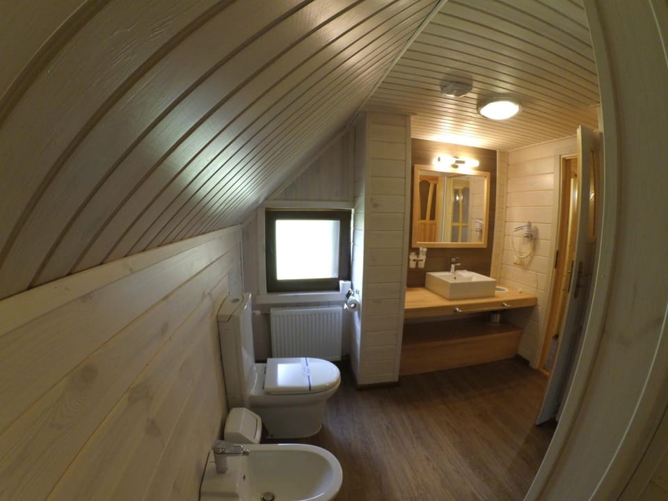 Shower, Toilet