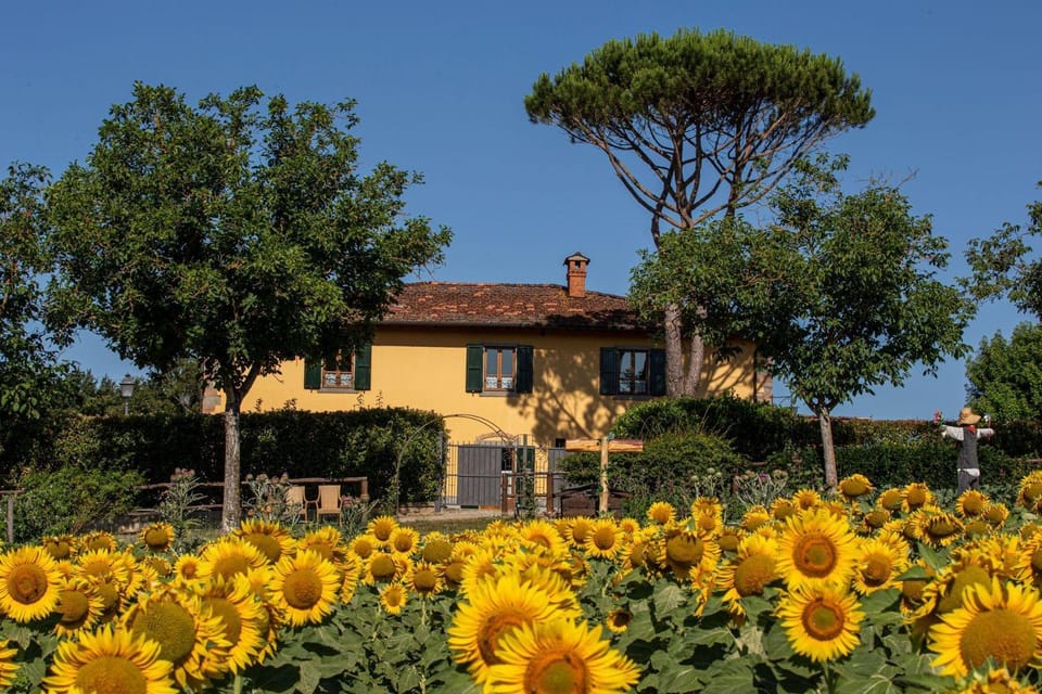Sant'Angelo Farmhouse Villa in Tuscany
