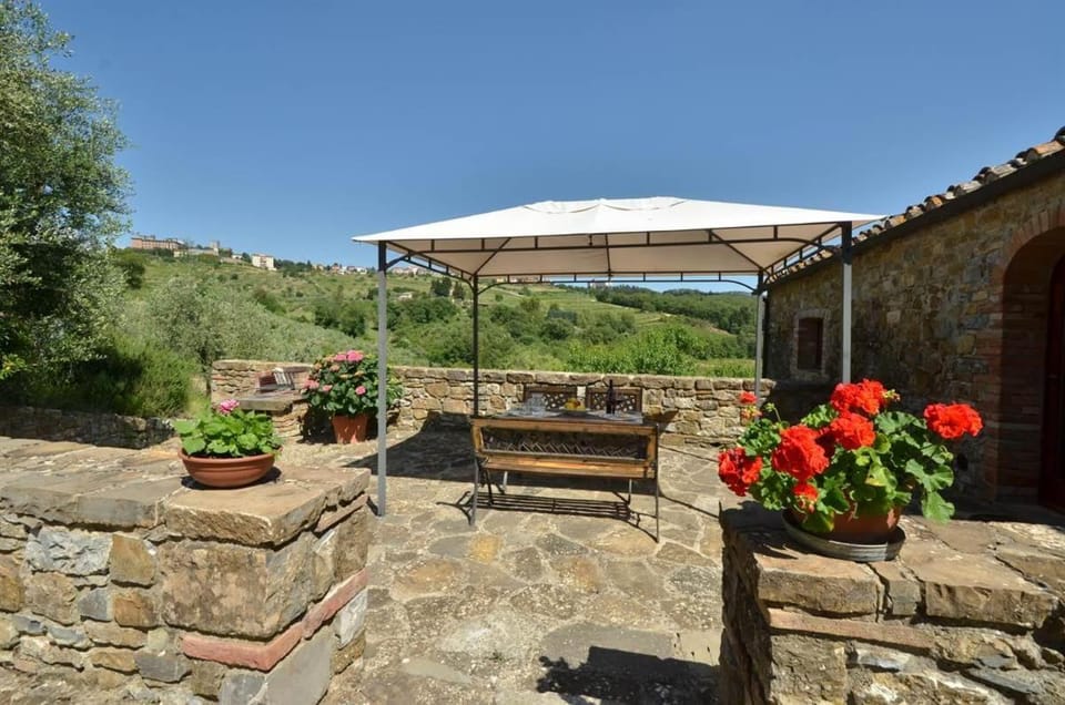 Il Nocino Apartment in Castellina in Chianti