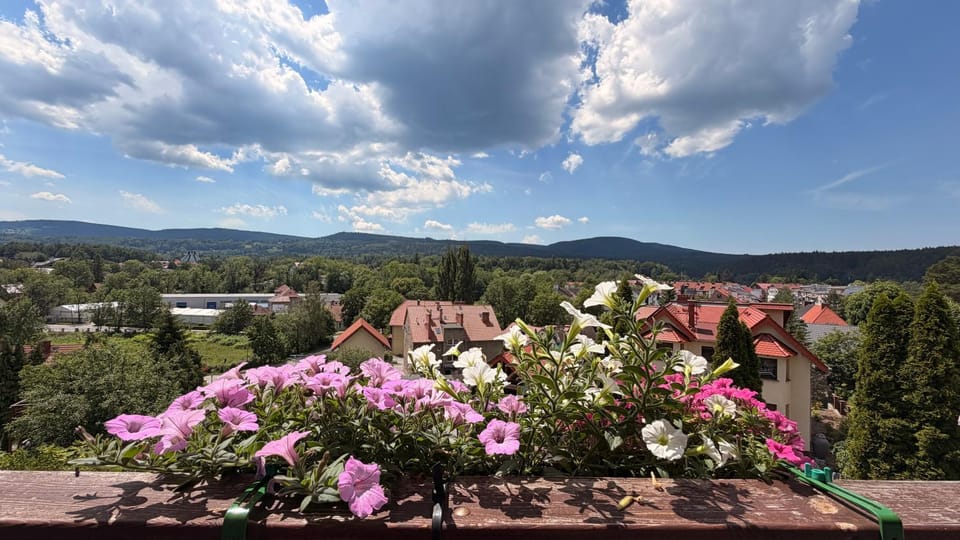 POLANICKIE WZGÓRZE Apartment in Lower Silesian Voivodeship