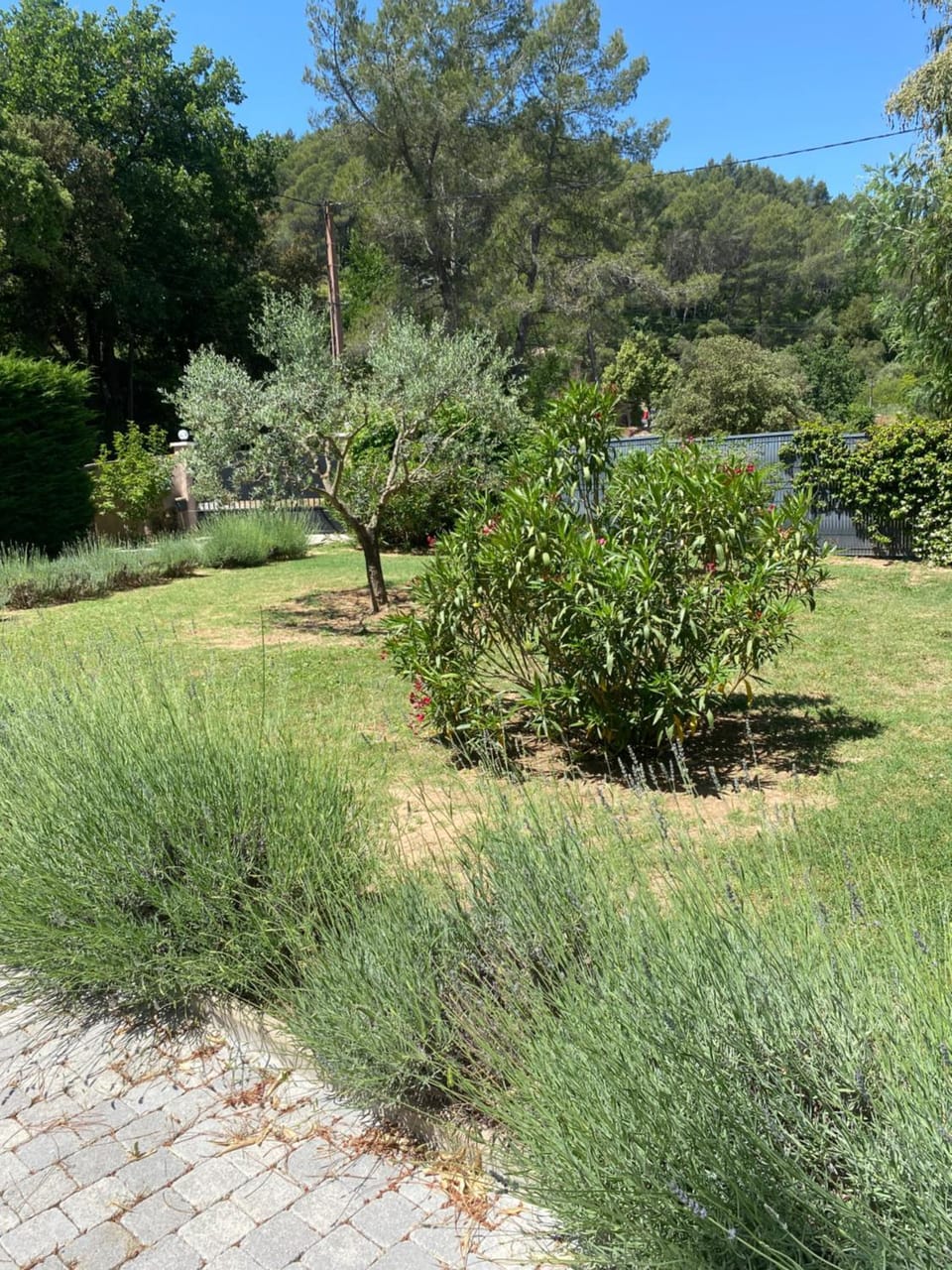 Gîte charmant au calme Apartment in French Riviera