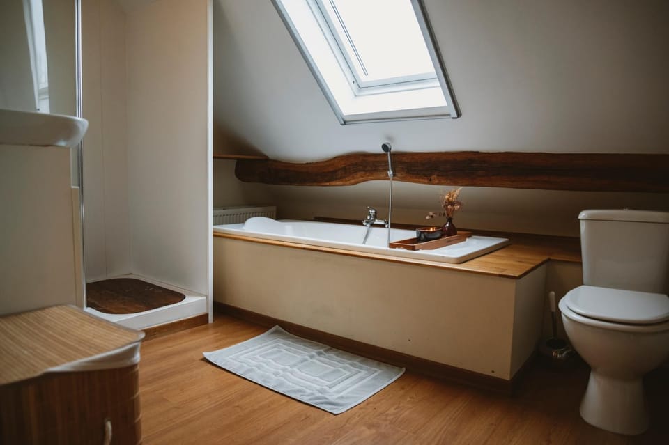 Toilet, Bathroom, Bath