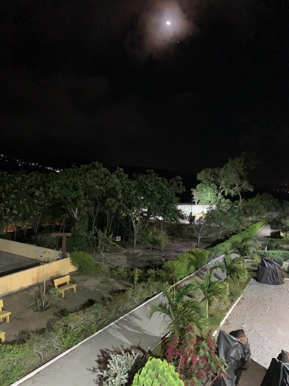 Garden view