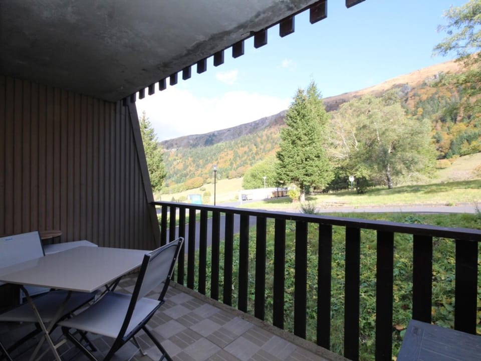 T2 Bis au Pied des Pistes - Capacité 4 Pers. - FR-1-608-142 Apartment in Auvergne-Rhône-Alpes