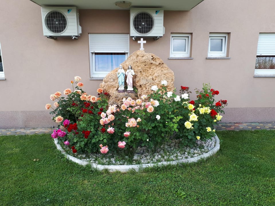 Neighbourhood, Natural landscape, Garden, Decorative detail