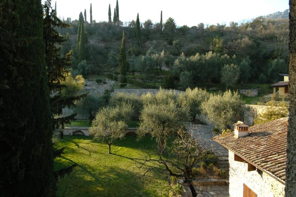 Garden, Garden view, Mountain view, Mountain view