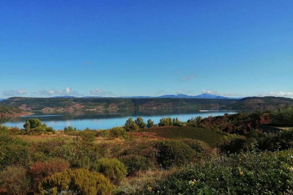 Studio 22 m2, terrasse vue lac, dans propriété face au Lac du Salagou Apartment in Occitanie