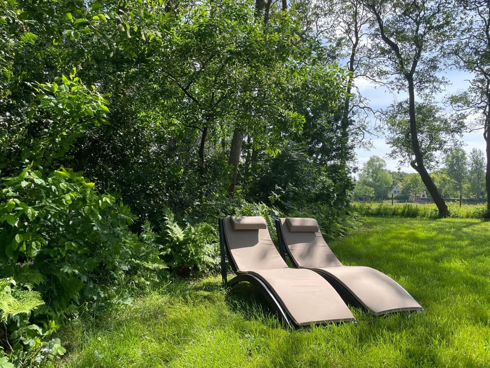 Natural landscape, Garden, sunbed