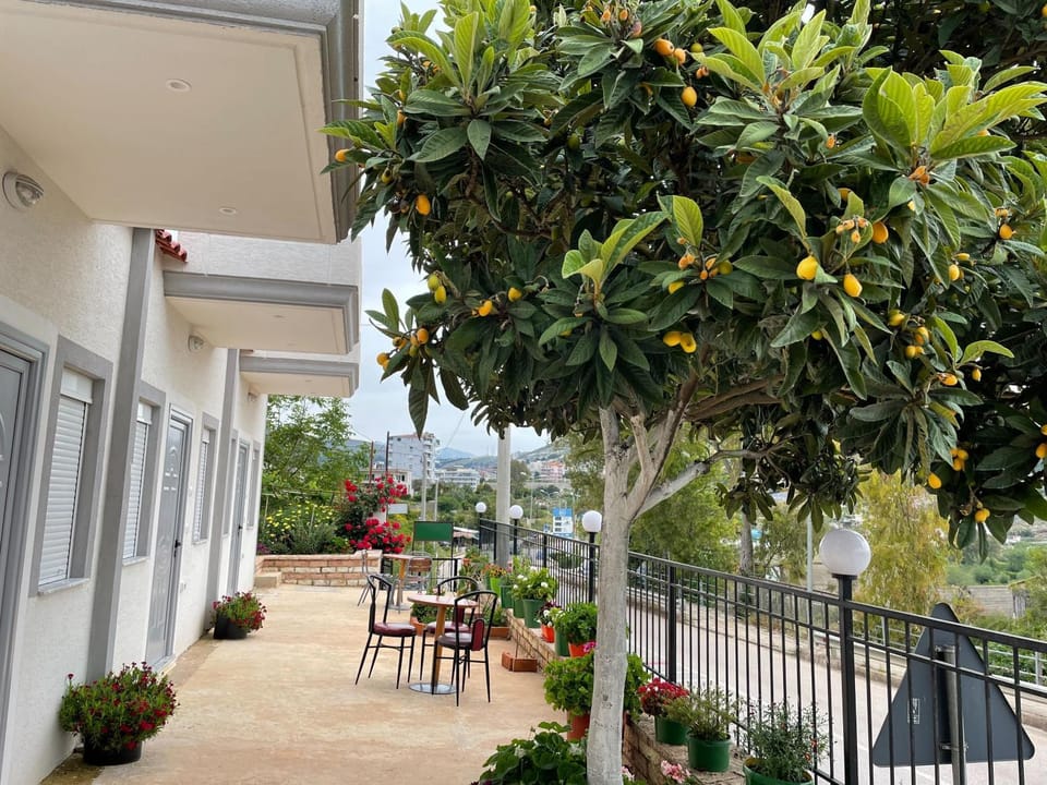 Property building, Patio