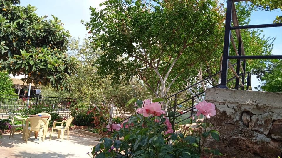 Garden, Balcony/Terrace