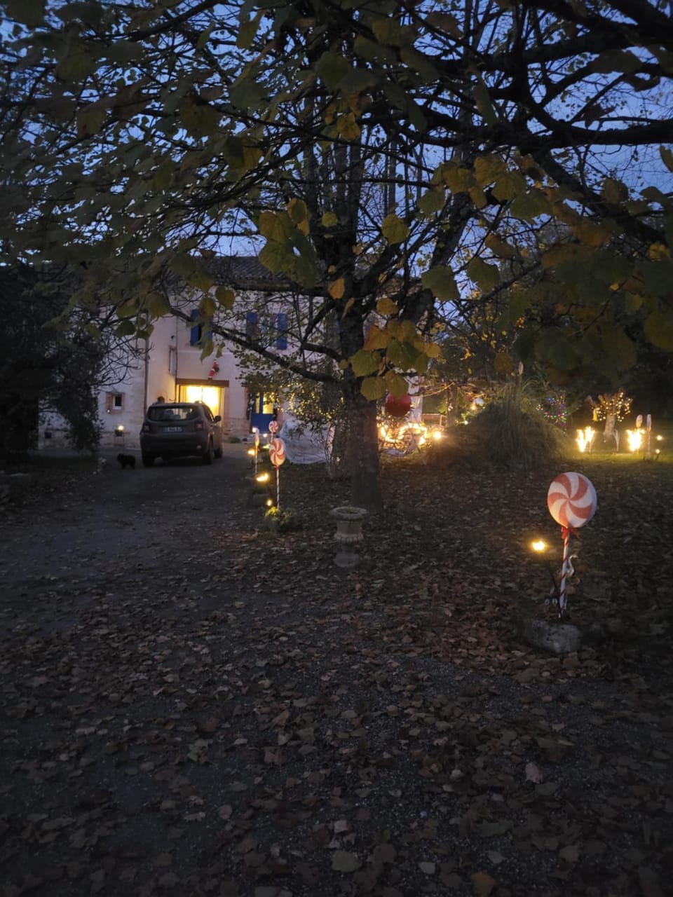 Relais de la poste ch Rose Bed and Breakfast in Occitanie