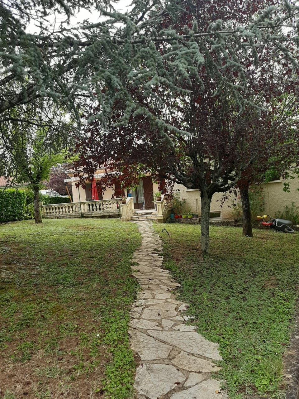 Garden view