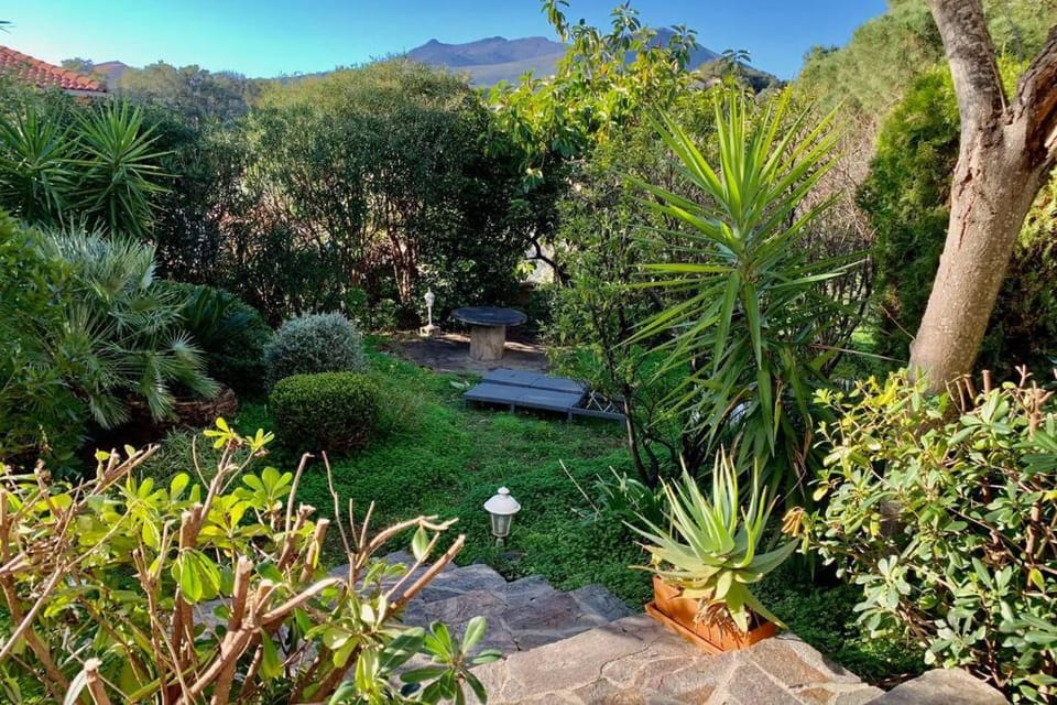 Garden, Garden view