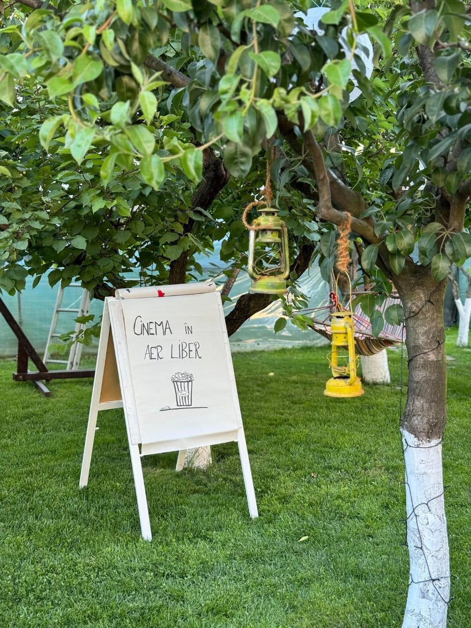 Vila Viorica Vacation rental in Constanța County