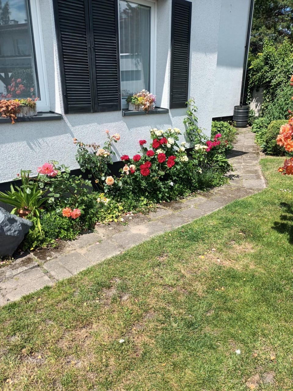 Apartament RÓŻE Apartment in Pomeranian Voivodeship