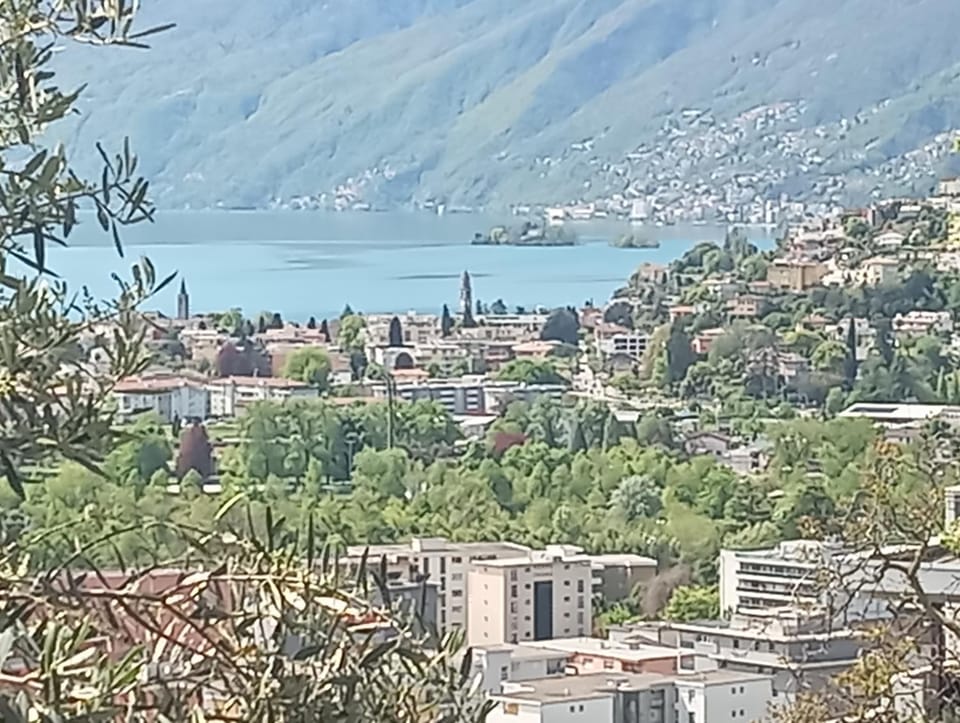 Lake view
