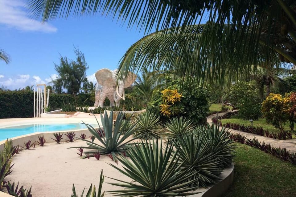 Garden, Pool view, Swimming pool