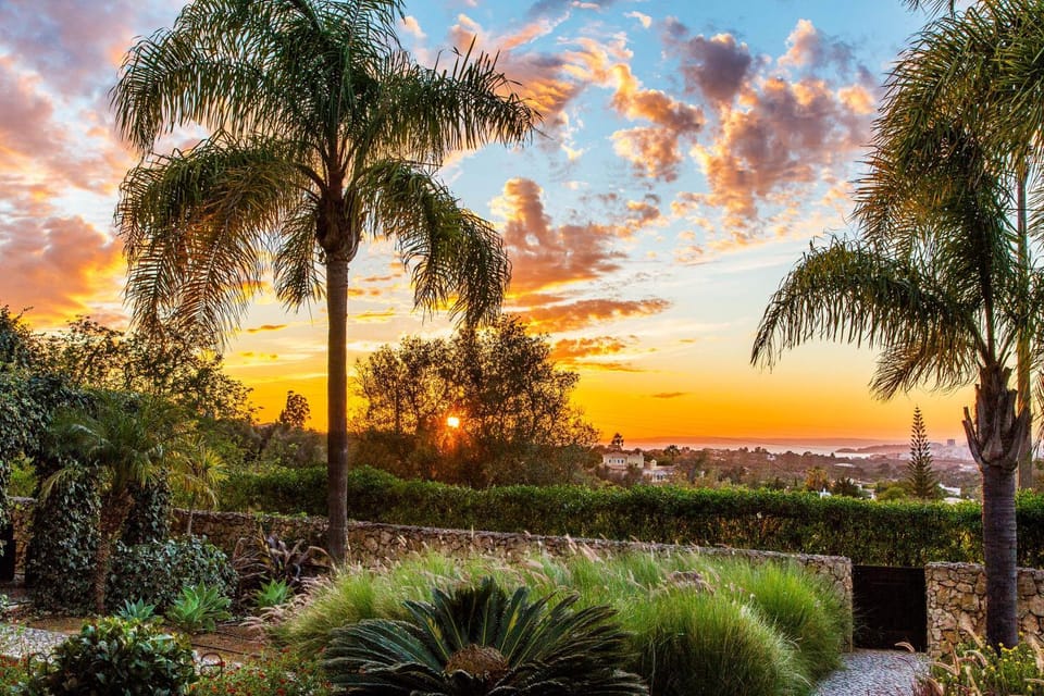 Garden, Sea view, Sunset