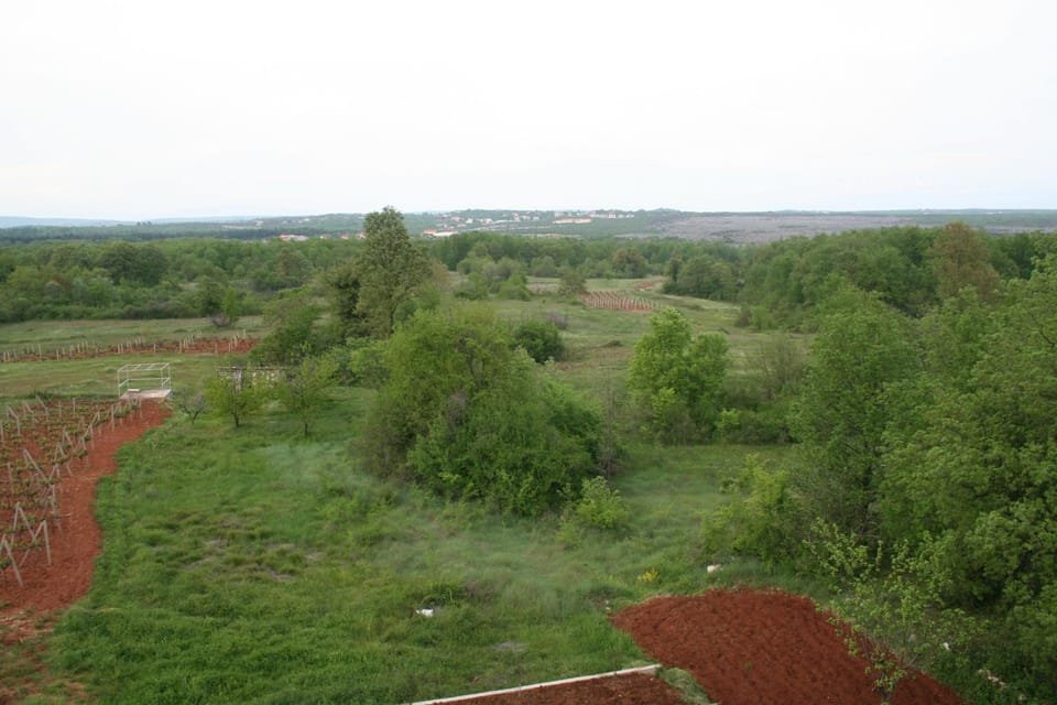 Spring, View (from property/room), Balcony/Terrace, Area and facilities