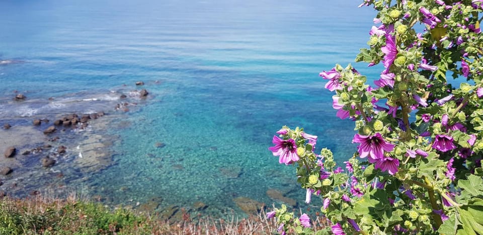 Natural landscape, View (from property/room), Sea view
