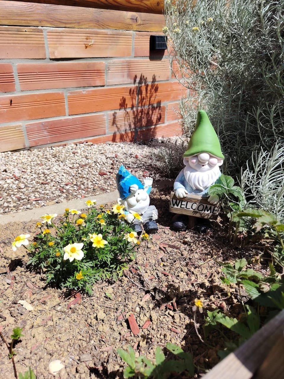 Spring, Day, Garden