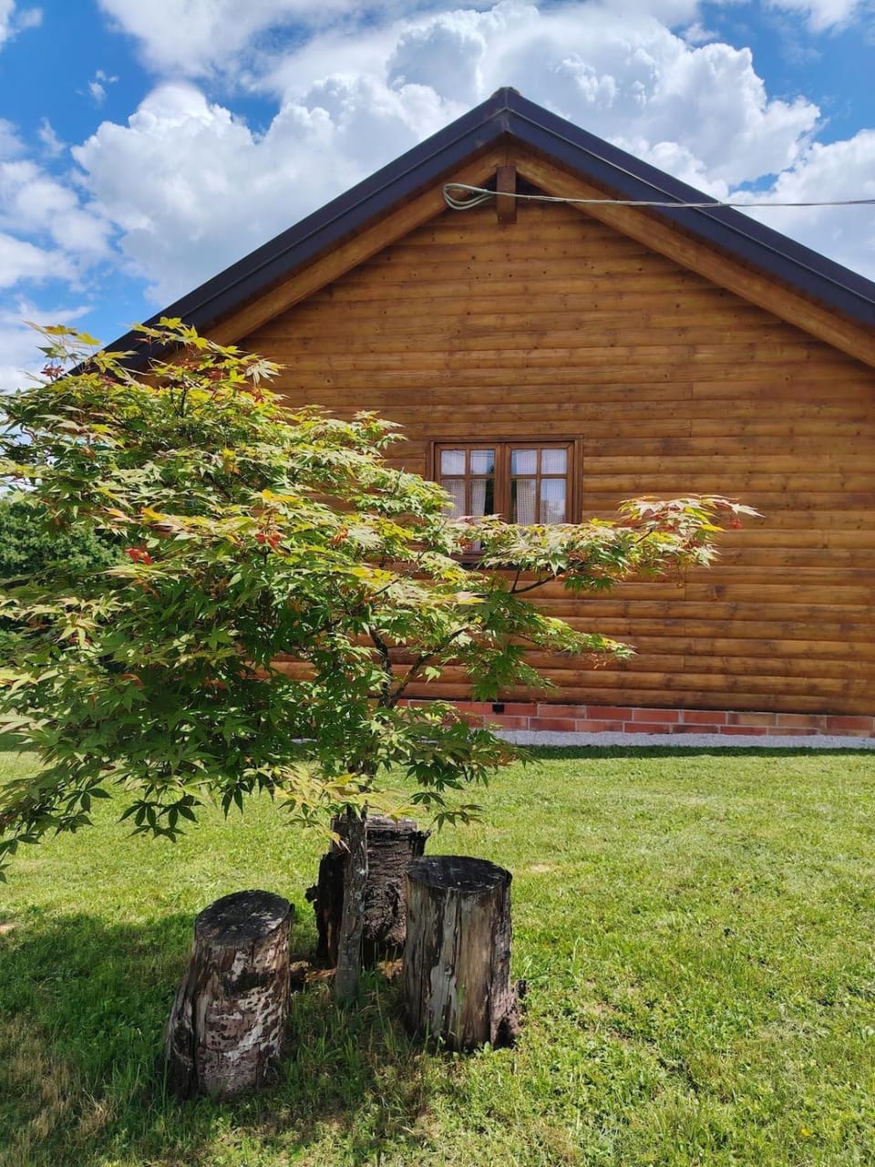 Property building, Spring, Day, Garden, Garden view