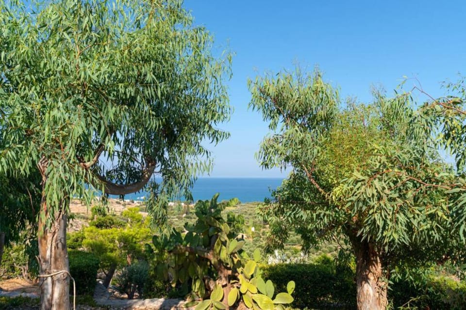 Hope's Studio Apartment in Lasithi