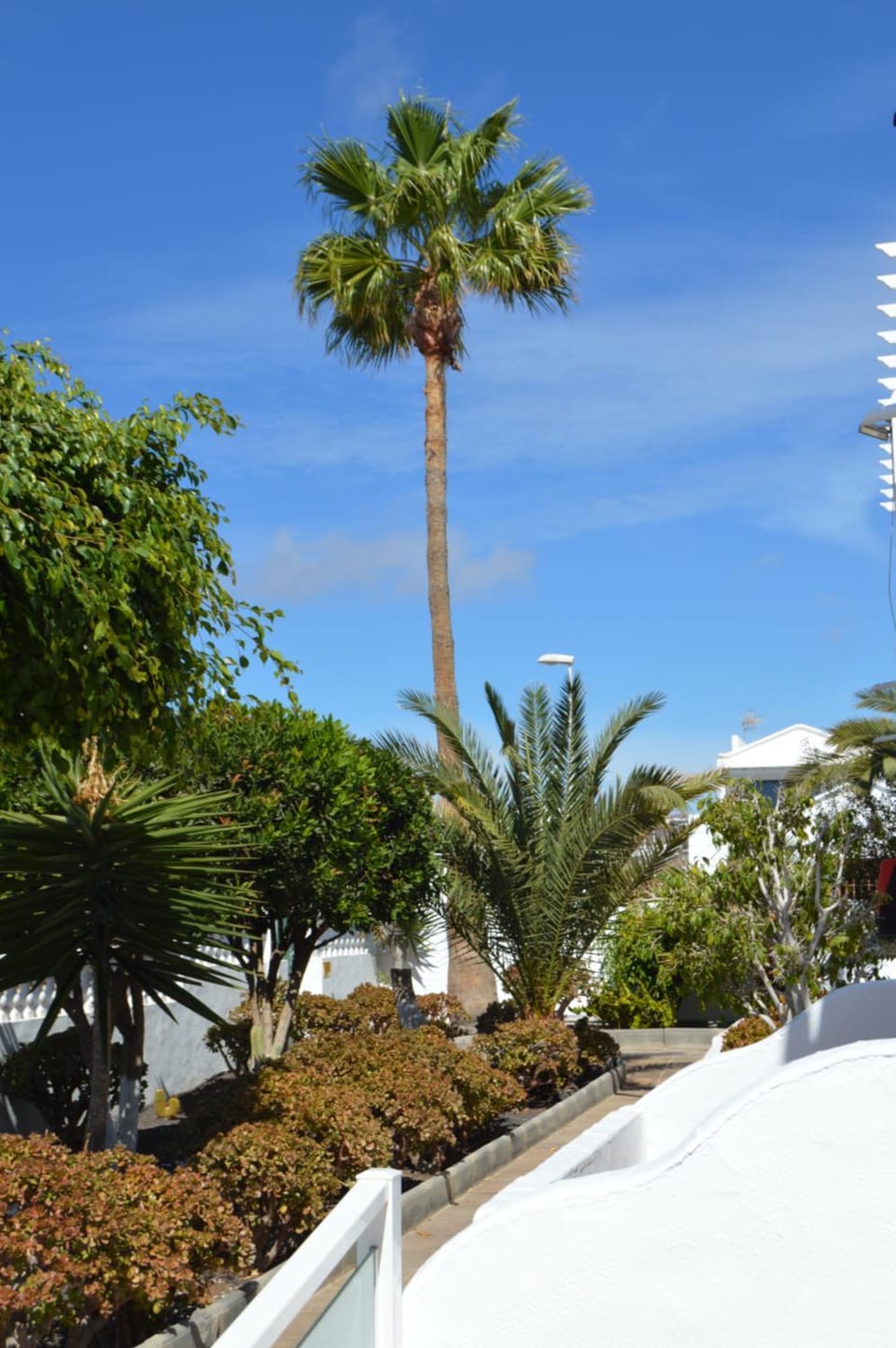 Natural landscape, Garden, Garden view
