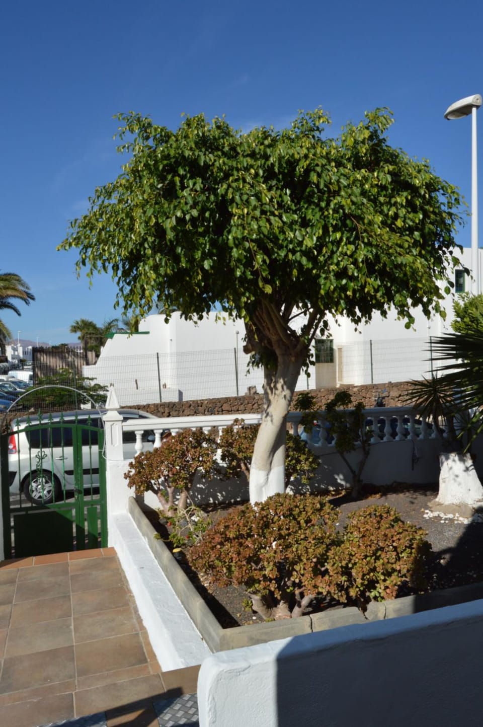 Garden, Garden, Garden view