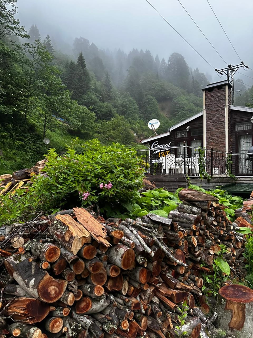 Property building, Natural landscape, Mountain view